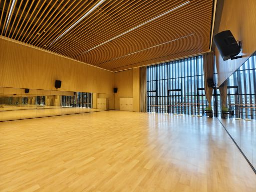 舞蹈排练1室