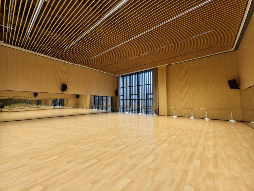 舞蹈排练2室
